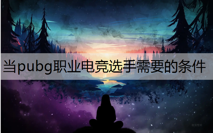 当pubg职业电竞选手需要的条件