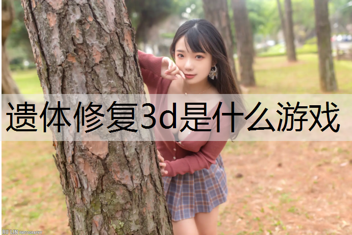 遗体修复3d是什么游戏