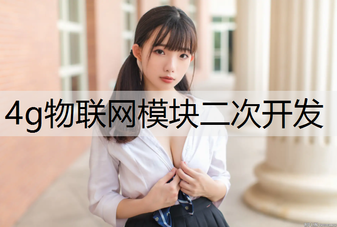 4g物联网模块二次开发