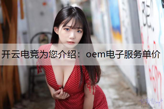 oem电子服务单价