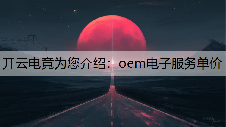 oem电子服务单价