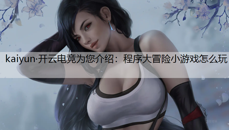 程序大冒险小游戏怎么玩